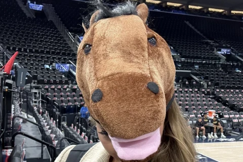 Fans pull off bizarre stunt - PHOTO