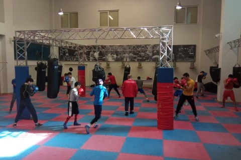 International boxing training camp in Baku