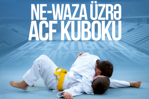 Состоится Кубок ACF по "Не-ваза"