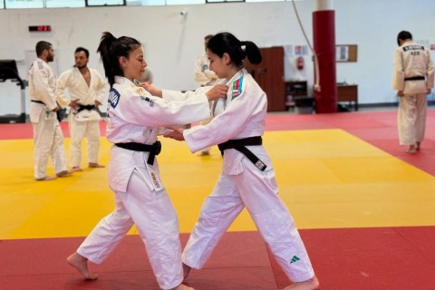 Judokas continue preparations for European Championship - PHOTO