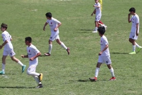 Hakimi təhqir edən baş məşqçi ilə bağlı qərar