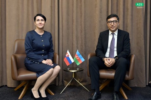 Fərid Qayıbov Slovakiyanın idman məsələləri üzrə dövlət katibi ilə görüşüb
