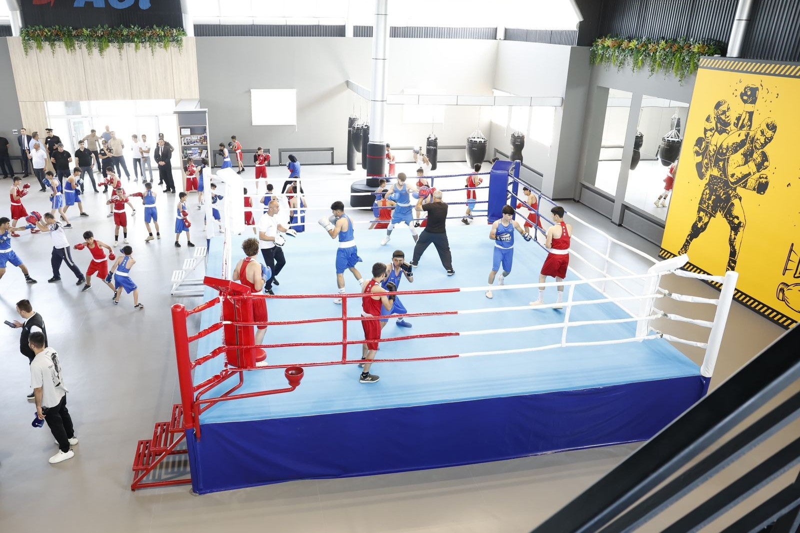 Lənkəranda Cənub Regional Boks Mərkəzinin açılışı olub - FOTO/VİDEO
