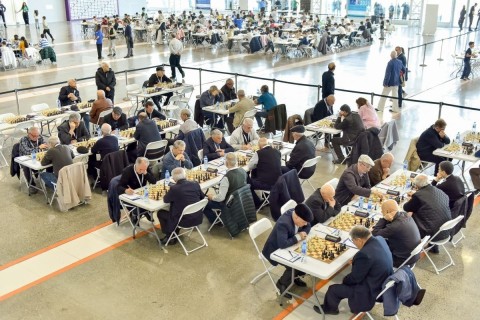 Sheki Open соберет более 300 шахматистов