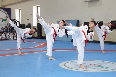 Taekvondo federasiyası dan imtahanı təşkil edib - FOTO