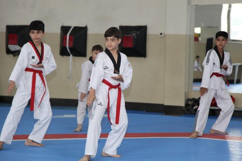 Taekvondo federasiyası dan imtahanı təşkil edib - FOTO