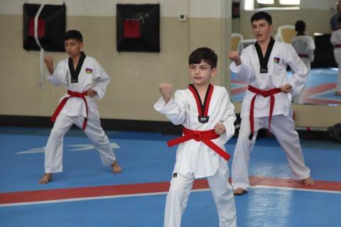 Taekvondo federasiyası dan imtahanı təşkil edib - FOTO