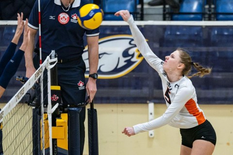 Azərbaycan çempionatının debütantında kanadalı voleybolçu