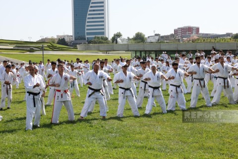 Bakıda kontakt karate üslubları üzrə yay seminarı - FOTO