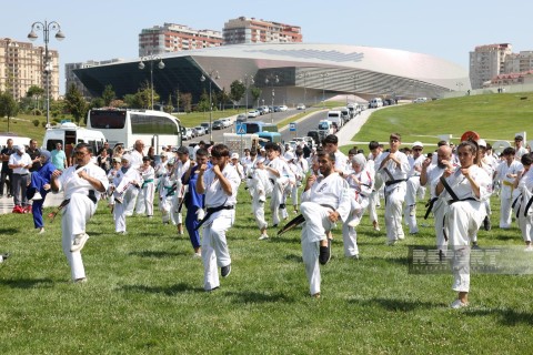 Bakıda kontakt karate üslubları üzrə yay seminarı - FOTO