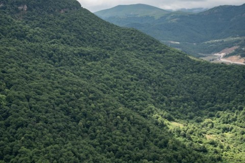 "Qarabağ"ın yeni formalarında Azərbaycan bayrağı - FOTO/VİDEO