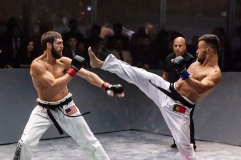 Жестокий Майами: Гран-при Karate Combat "Последний выживший" и четыре титульных боя