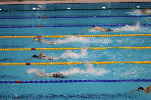 Azerbaijani swimmers compete on day two of Universiade in Berlin - PHOTO/VIDEO