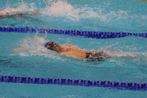 Azerbaijani swimmers compete on day two of Universiade in Berlin - PHOTO/VIDEO