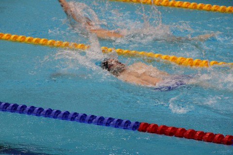 Azerbaijani swimmers compete on day two of Universiade in Berlin - PHOTO/VIDEO
