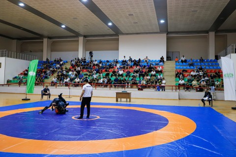 Naxçıvanda MMA üzrə açıq birincilik - FOTO