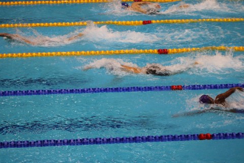 Universiada: Azərbaycanlı üzgüçülər yarımfinala çıxa bilməyiblər - FOTO