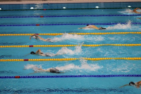 Universiada: Azərbaycanlı üzgüçülər yarımfinala çıxa bilməyiblər - FOTO