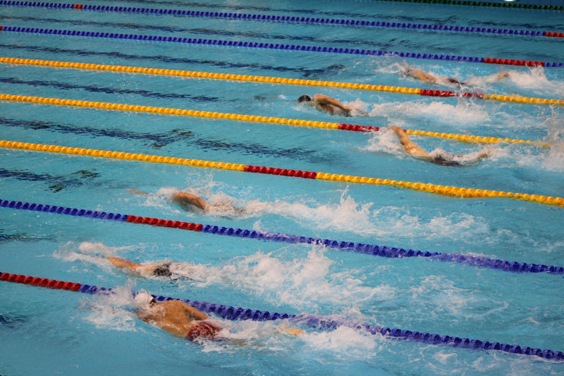 Azerbaijani swimmers continue to compete at World University Games - PHOTO/VIDEO