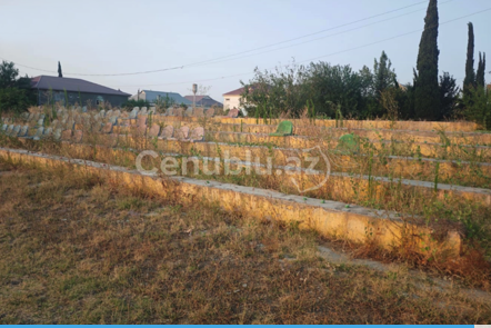 Cəlilabadın baxımsız qalan stadionu yararsız halda - VİDEO