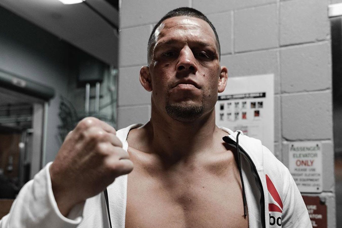 Нейт Диаз заявил о готовности подраться с Макгрегором на турнире UFC в Белом доме
