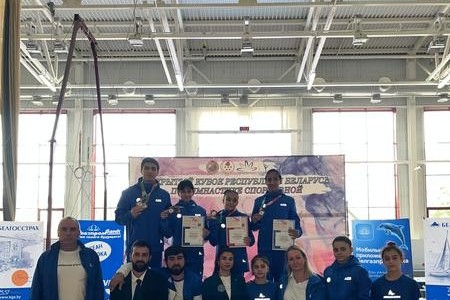 Азербайджанские гимнасты отличились в Белоруссии - ФОТО