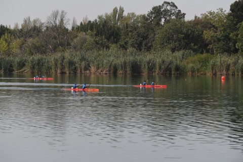 Azerbaijan Rowing Championship concludes - PHOTO