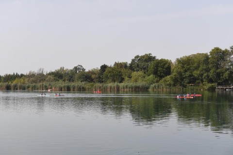 Azerbaijan Rowing Championship concludes - PHOTO