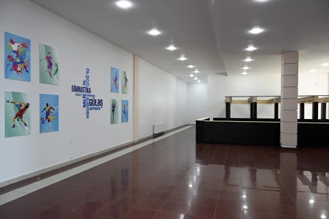 Fərid Qayıbov Zaqatala Olimpiya İdman Kompleksinə baxış keçirib - FOTO