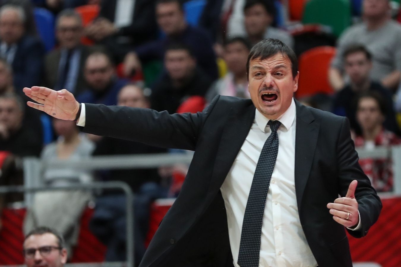 Ataman: "Yaxşı hazırlaşsan, Adetokunbonun qarşısını ala bilərsən, bura NBA deyil"