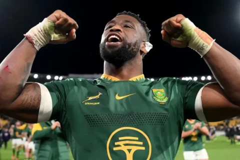 South Africa hand New Zealand their heaviest defeat in rugby history
