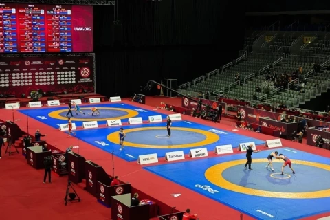Dünya çempionatı: 3 güləşçimiz 1/4 finalda
