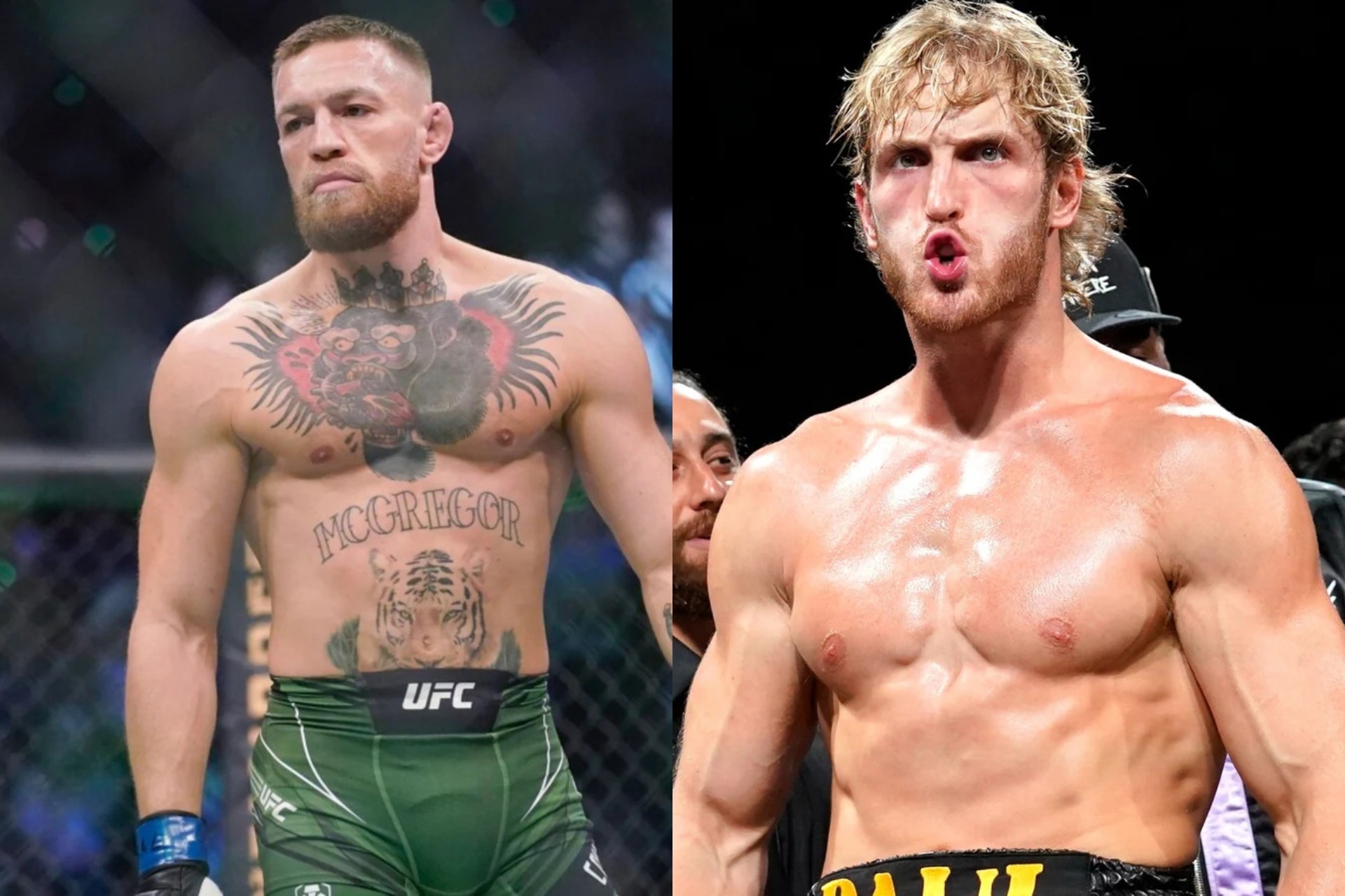 UFC rəhbəri Makqreqor - Pol döyüşünə niyə icazə vermədiyini açıqlayıb