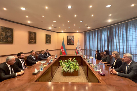 MOK-da beynəlxalq ekspertlərlə görüş keçirilib - FOTO
