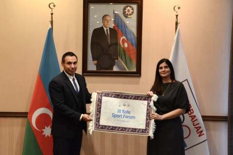MOK-da beynəlxalq ekspertlərlə görüş keçirilib - FOTO