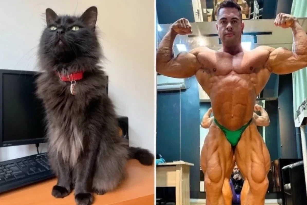 Brazilian bodybuilder dies of stroke following pet’s death