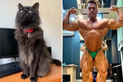 Brazilian bodybuilder dies of stroke following pet’s death