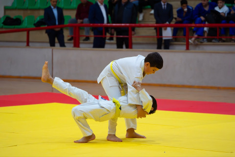 Naxçıvanda idmançılar üçün kəmər dərəcələri imtahanı təşkil edilib - FOTO