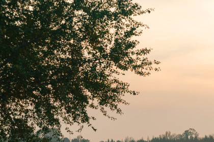 Leyla Əliyeva Mingəçevirdə yerləşən avarçəkmə bazasında idmançılarla görüşüb - FOTO