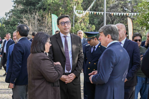 Qəbələdə IV İdman Festivalının açılış mərasimi olub - FOTO