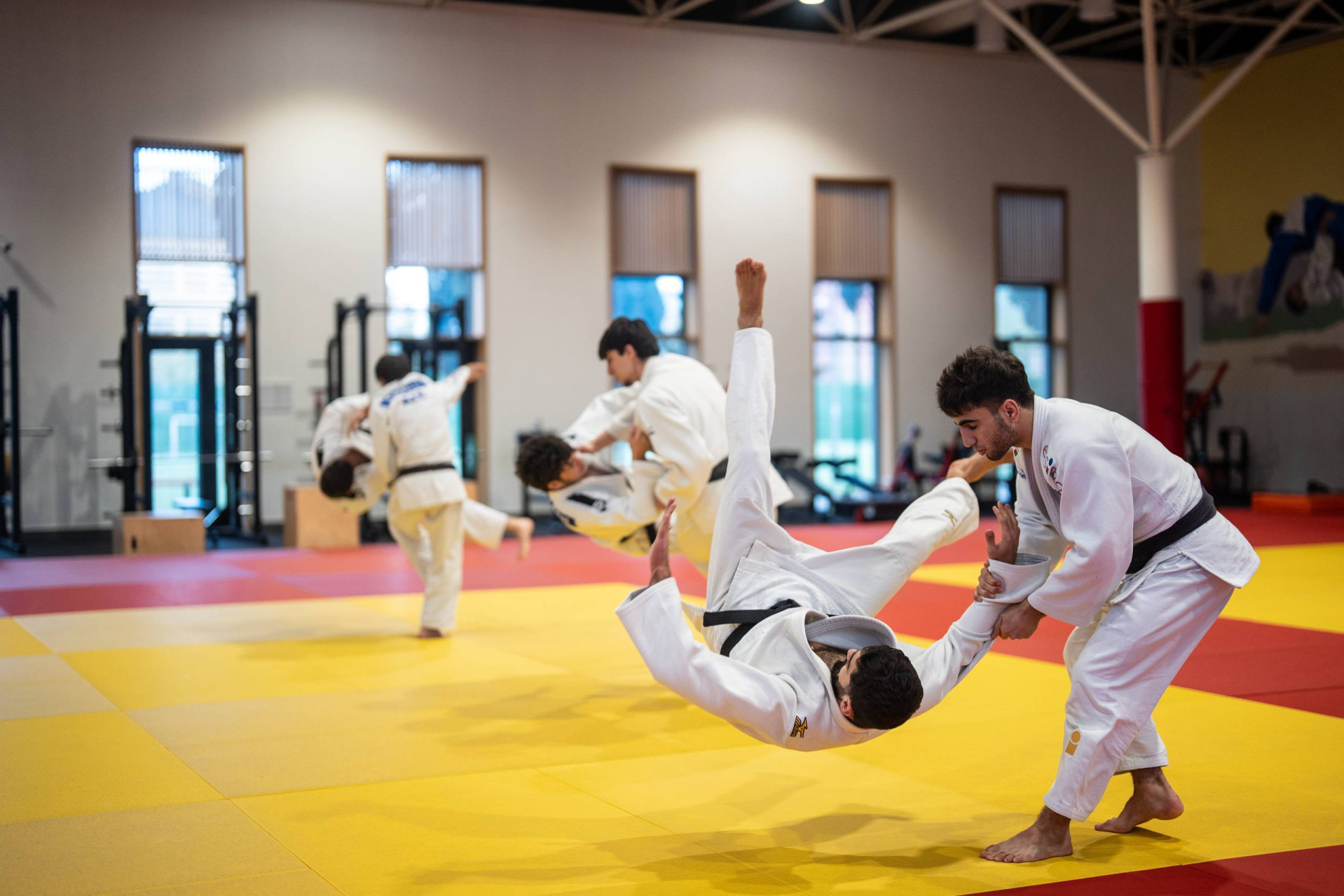 Cüdo tələbələri üçün beynəlxalq praktika dərsləri keçirilir - FOTO