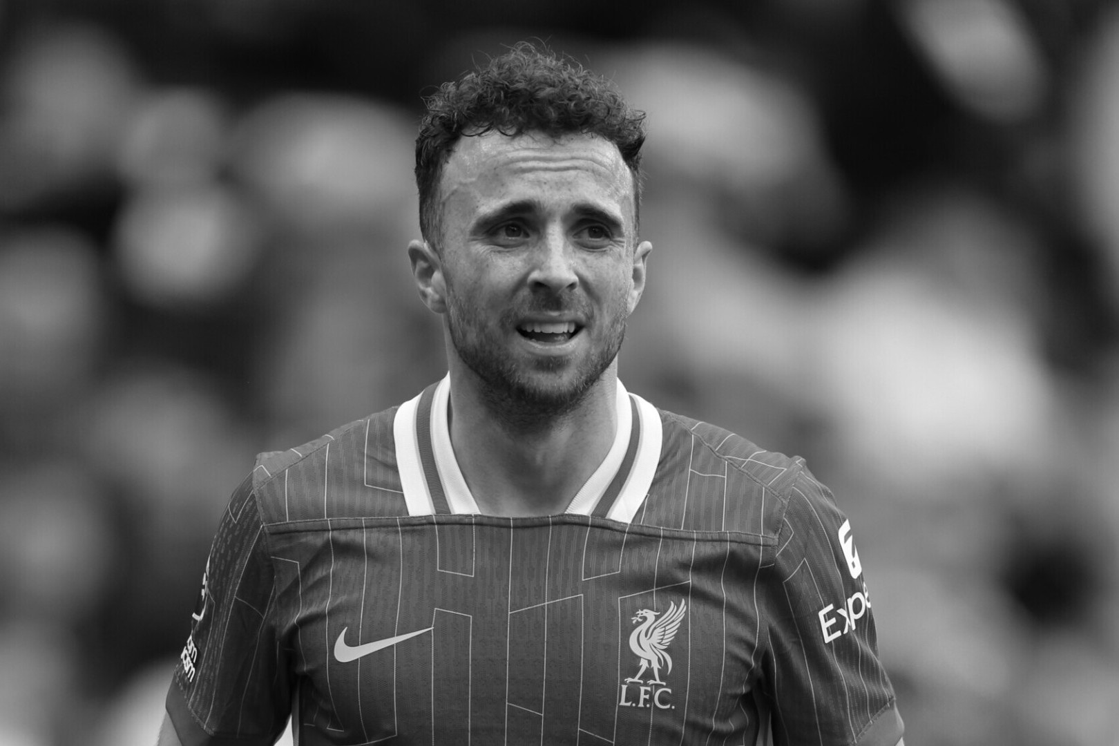 “EA Sports FC 26” oyununda Dioqo Jotanın xatirəsinə forma təqdim olunub -