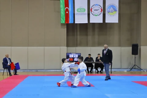 В Нахчыване прошел республиканский чемпионат по каратэ - ФОТО