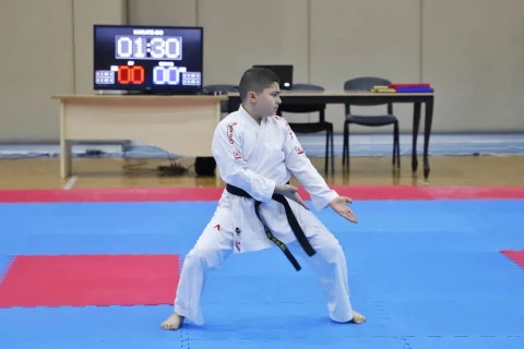 В Нахчыване прошел республиканский чемпионат по каратэ - ФОТО
