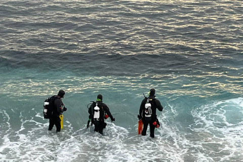 Tapılan cəsəd Erika Foksa məxsusdur - FOTO