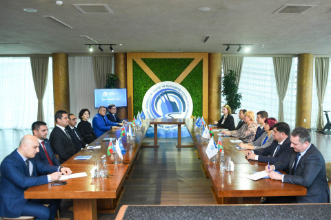 Состав правления Федерации каноэ и гребли Азербайджана подвел итоги 2025 года