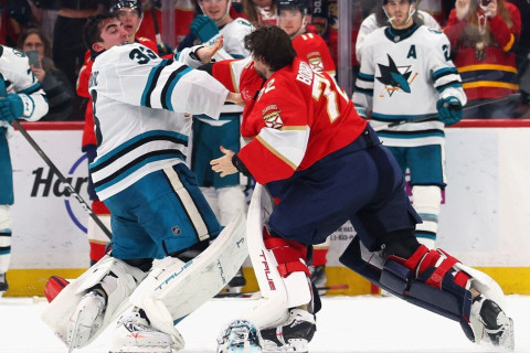 В матче НХЛ вратари устроили драку один на один