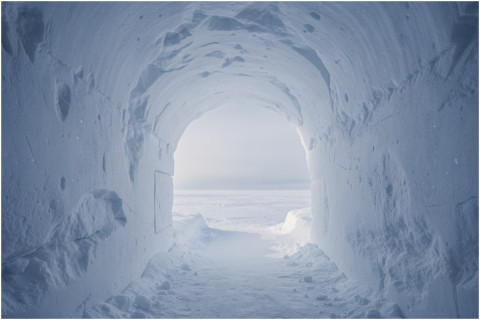 İdmanın sərhəd tanımadığı həmin an – VİDEO