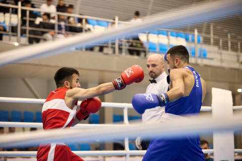 Boks üzrə Azərbaycan çempionatında ikinci günün döyüşləri başa çatıb