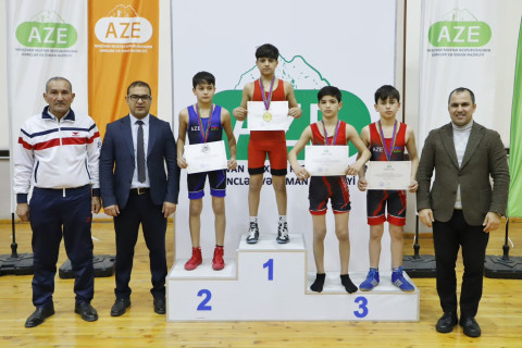 Sərbəst güləş üzrə Naxçıvan birinciliyi başa çatıb